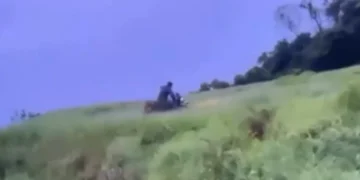 Vídeos nas redes sociais revelam vandalismo em área rural de SC