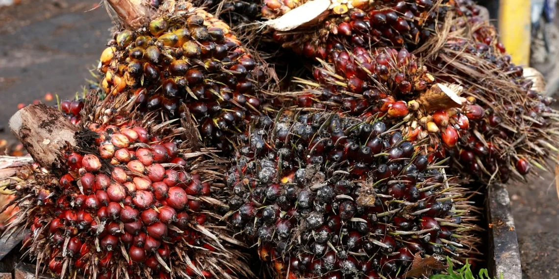 Importações de óleo de palma pela Índia atingem maior nível em 4 meses