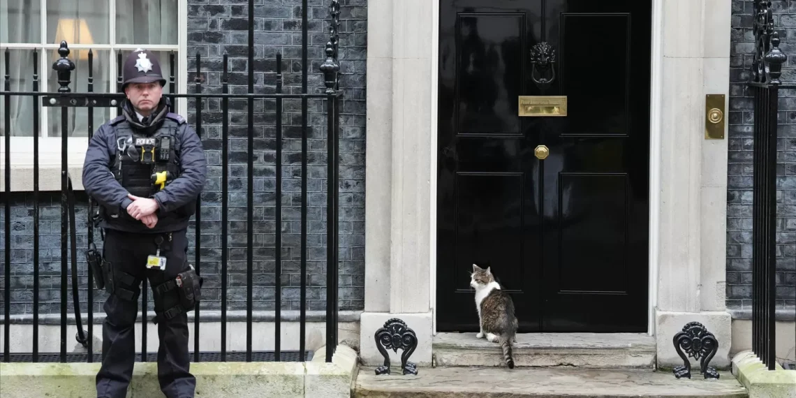 Larry the Cat: o inquilino mais famoso de Downing Street celebra 15 anos no poder