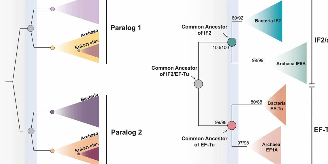 Toda a vida na Terra partilha antepassado comum que viveu há 4 mil milhões de anos