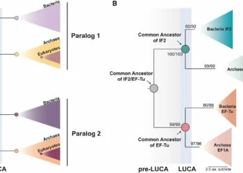 Toda a vida na Terra partilha antepassado comum que viveu há 4 mil milhões de anos