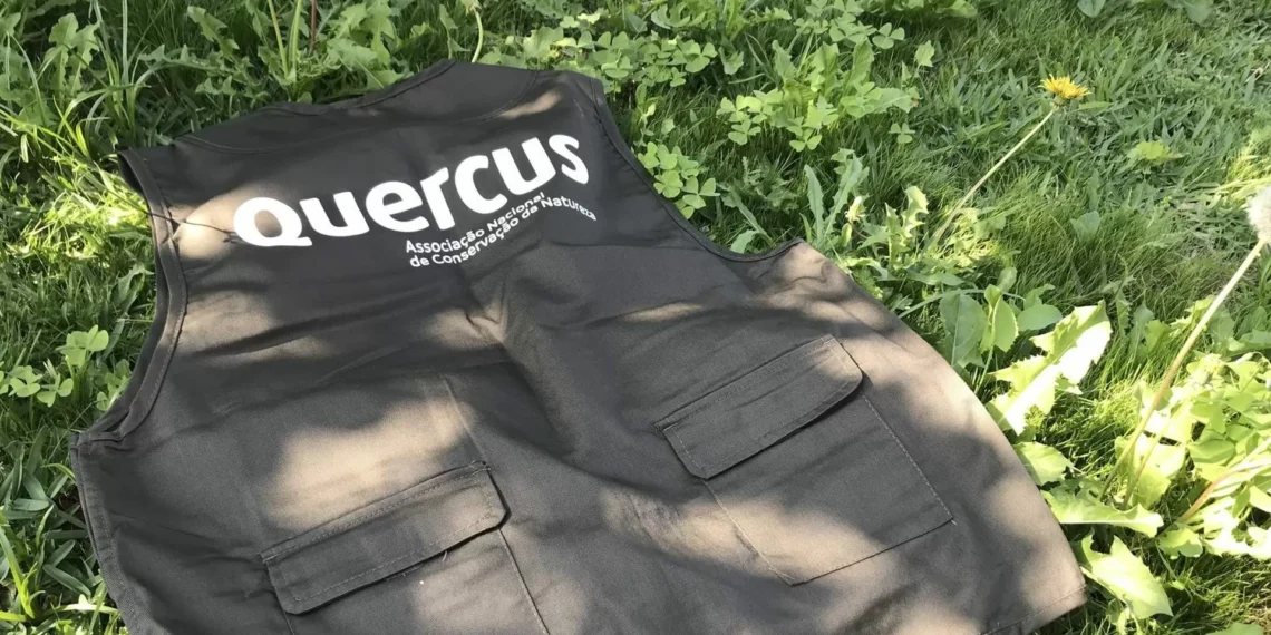 Associação Quercus pede lei que proíba toalhetes húmidos não biodegradáveis