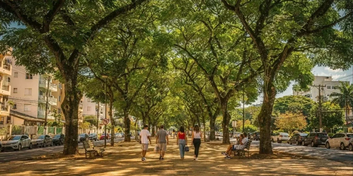 Verde na calçada acalma a mente e valoriza o metro quadrado em até 20%
