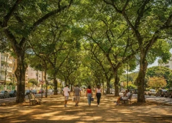 Verde na calçada acalma a mente e valoriza o metro quadrado em até 20%