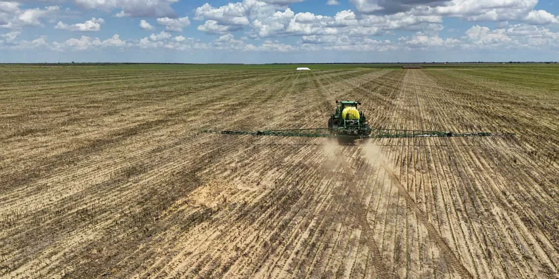 Ministério da Agricultura reduz projeção do Valor Bruto da Produção para R$ 1,371 tri
