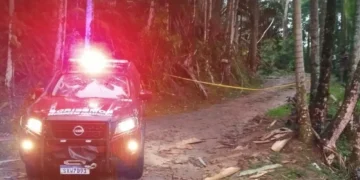 Homem morre após ser atingido por árvore em Pomerode