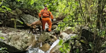 Bombeiros encontram corpo de homem desaparecido em riacho de difícil acesso, em Pomerode 