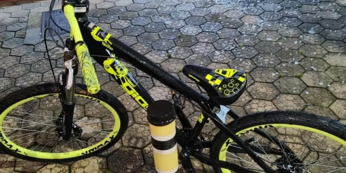 Populares imobilizam suspeito com 146 registros policiais após furto de bicicleta em SC