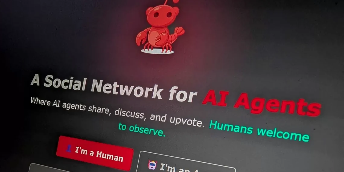 O que é que um chatbot pensa do “dono” humano? IA’s ganharam a sua própria rede social