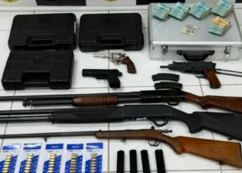 Operação da Polícia Civil em Blumenau e Gaspar revela estrutura para rinha de galos e apreende arsenal de armas