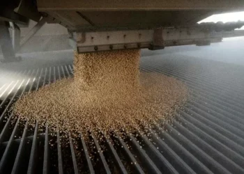 China planeja aumentar produção de soja e ampliar oferta de oleaginosas