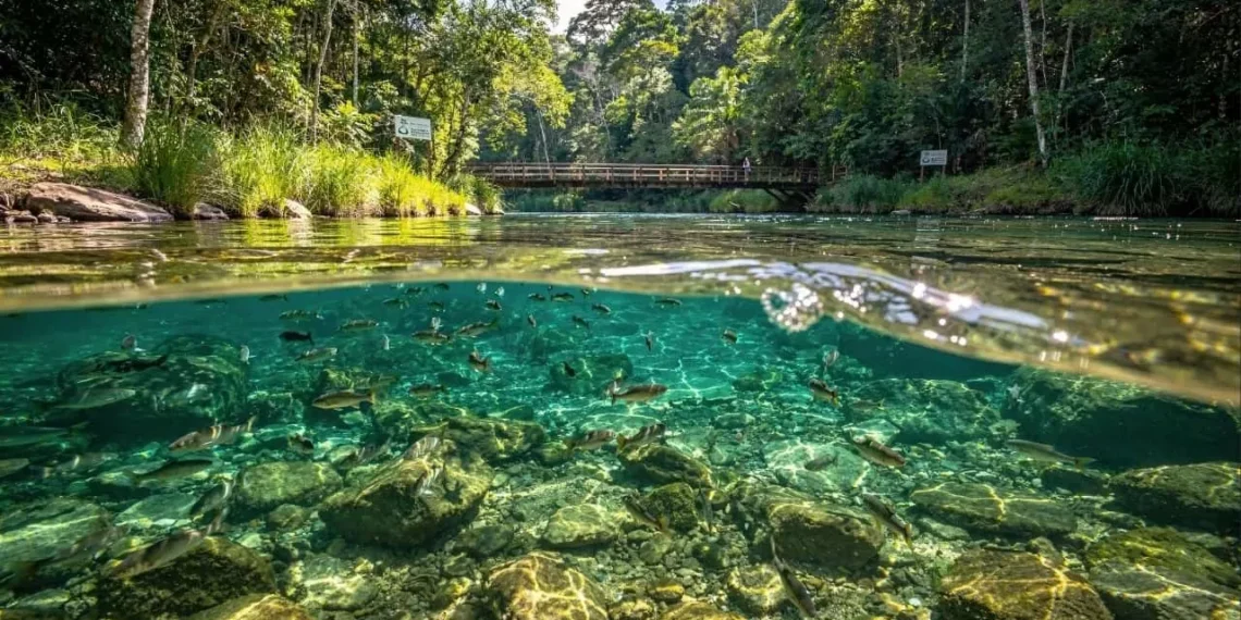 Nem maldivas, nem Cancún: O destino brasileiro que virou o primeiro ‘carbono neutro’ do mundo