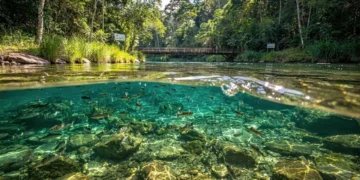 Nem maldivas, nem Cancún: O destino brasileiro que virou o primeiro ‘carbono neutro’ do mundo