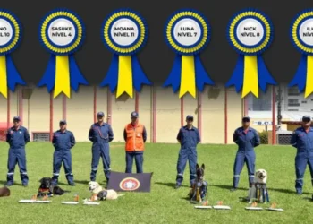 CBMSC tem os cães de resgate mais preparados do Brasil para salvar vidas em cenários extremos