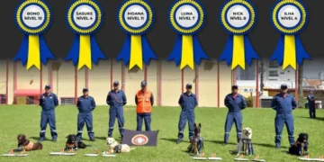 CBMSC tem os cães de resgate mais preparados do Brasil para salvar vidas em cenários extremos