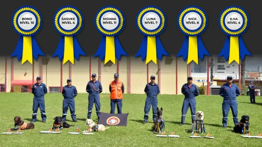 CBMSC tem os cães de resgate mais preparados do Brasil para salvar vidas em cenários extremos